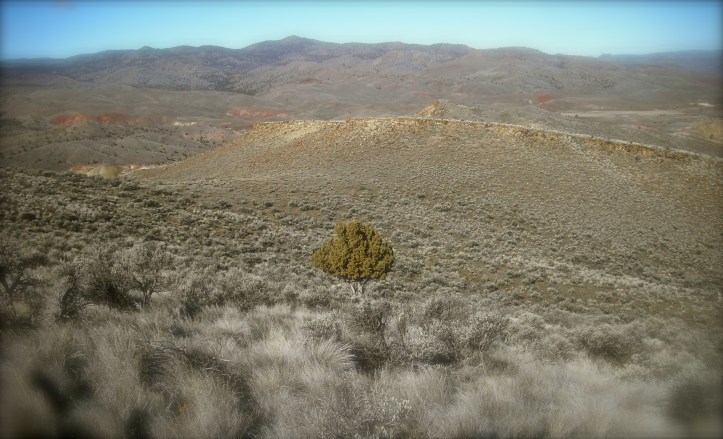 In the Lenten Wilderness. Photo by Tim Graves