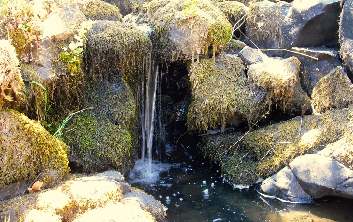 The hot July creek doesn't so much flow as it drips. Photo by Tim Graves