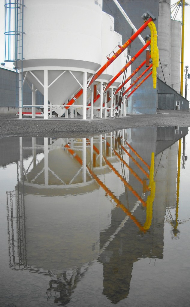The grain elevator in Condon, Oregon is a grey concrete structure. These tanks have bright plastic tubes where many elevators have cold, steel. An unexpected puddle on the grey gravel creates an unexpected beauty in the common and utilitarian. Photo by Tim Graves