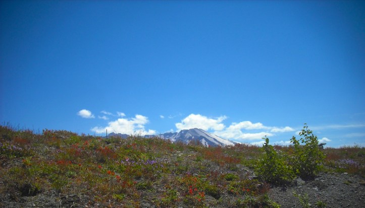 Mt. St. Helens (July 2013). Photo by Tim Graves.
