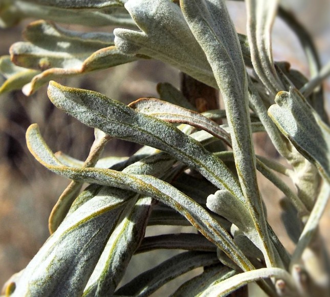 Photo by Rev. Tim Graves. Attribution-NonCommercial-NoDerivs 2.0 Generic