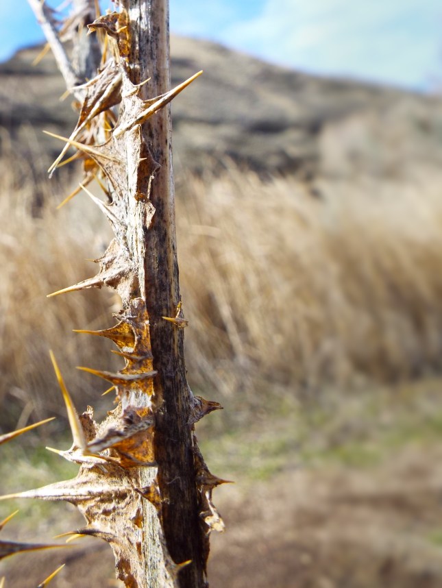 Photo by Tim Graves. Attribution-NonCommercial-NoDerivs 2.0 Generic