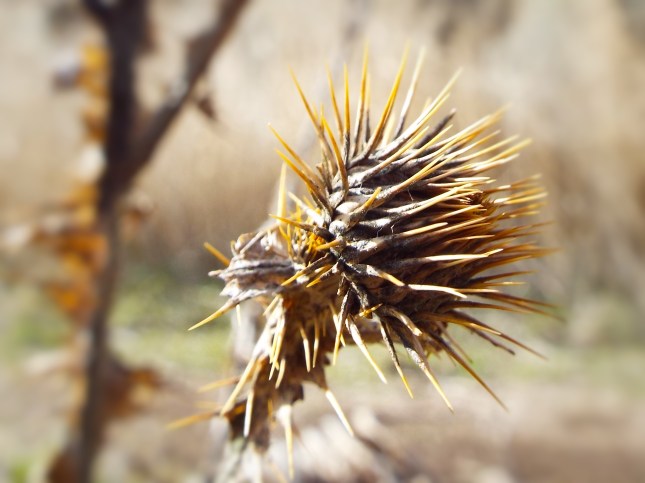 Photo by Rev. Tim Graves. Attribution-NonCommercial-NoDerivs 2.0 Generic