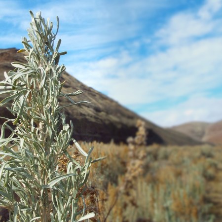 Photo by Rev. Tim Graves. Attribution-NonCommercial-NoDerivs 2.0 Generic