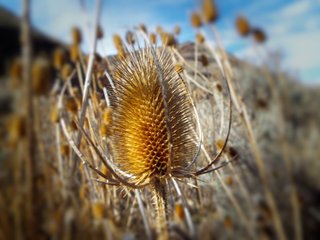 Photo by Rev. Tim Graves. Attribution-NonCommercial-NoDerivs 2.0 Generic