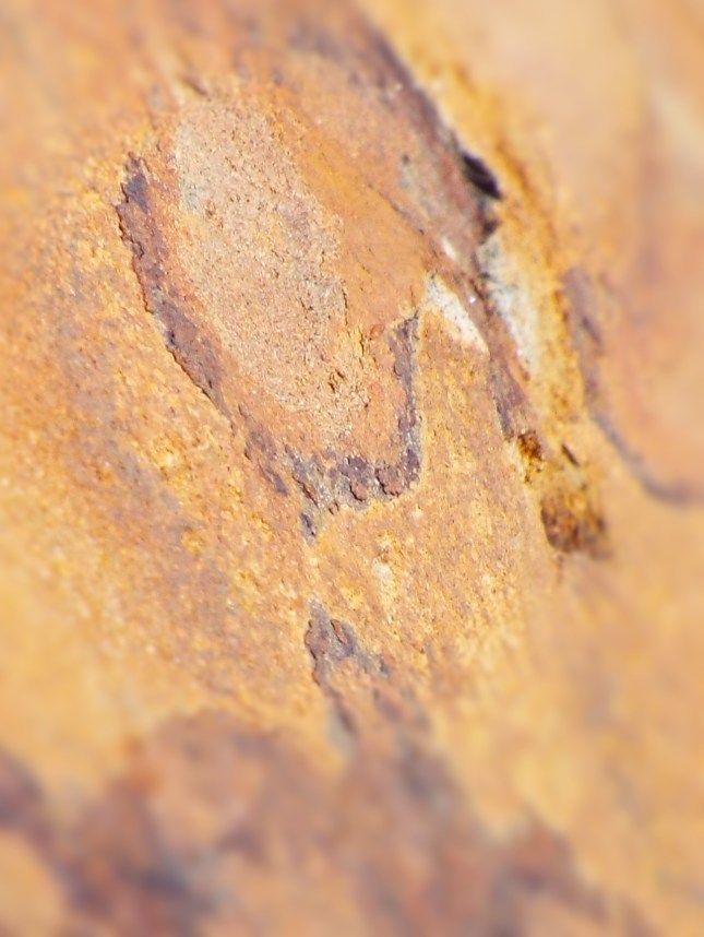 Photo by Tim Graves. Attribution-NonCommercial-NoDerivs 2.0 Generic