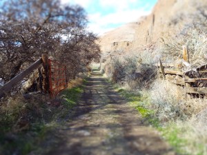 I Am the Gate. Photo by Tim Graves.