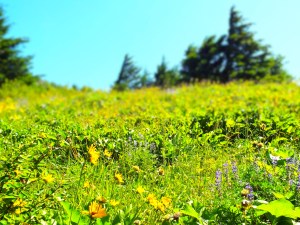 My very thoughts have been taken from me. I cannot trust my own memories. Photo by Tim Graves