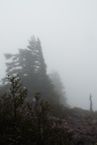 A foggy view toward the northwest from the top of Wind Mountain. Photo by Tim Graves