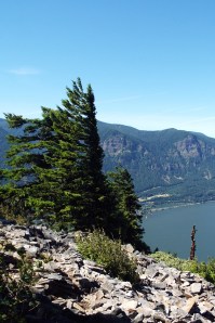 A view Photo by Tim Graves