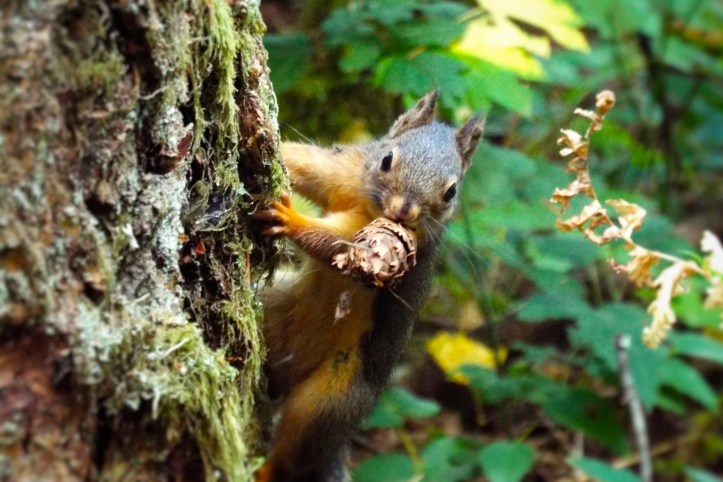 Mine! Photo by Tim Graves