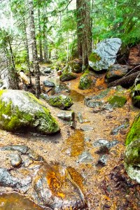The trail itself was rapidly becoming a series of miniature lakes. Photo by Tim Graves