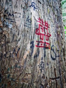 Abuse. Photo by Tim Graves. Creative Commons License BY-NC-ND 3.0 https://creativecommons.org/licenses/by-nc-nd/3.0/us/