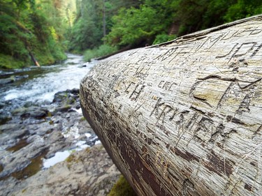 Photo by Tim Graves. Creative Commons License BY-NC-ND 3.0 https://creativecommons.org/licenses/by-nc-nd/3.0/us/