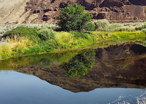 Beside Still Waters (variant). Photo by Tim Graves. Creative Commons License BY-NC-ND 3.0 https://creativecommons.org/licenses/by-nc-nd/3.0/us/