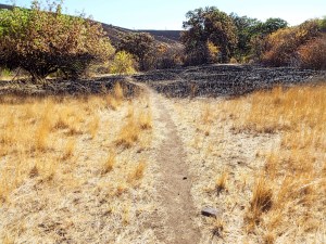 Fire Line. Photo by Tim Graves. Creative Commons License BY-NC-ND 3.0 https://creativecommons.org/licenses/by-nc-nd/3.0/us/