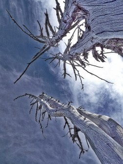 19106765934_f6b468c749_z