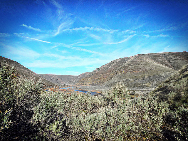 25967771510_712c79efcf_z