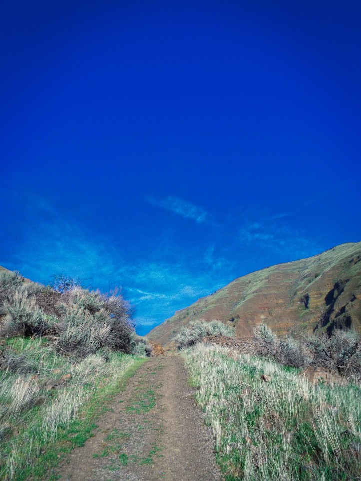 Beckoning Trail. © Tim Graves
